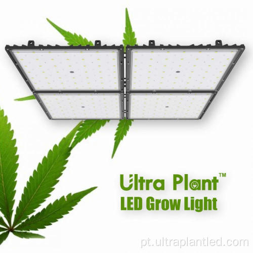 Lâmpadas LED de espectro total para plantas